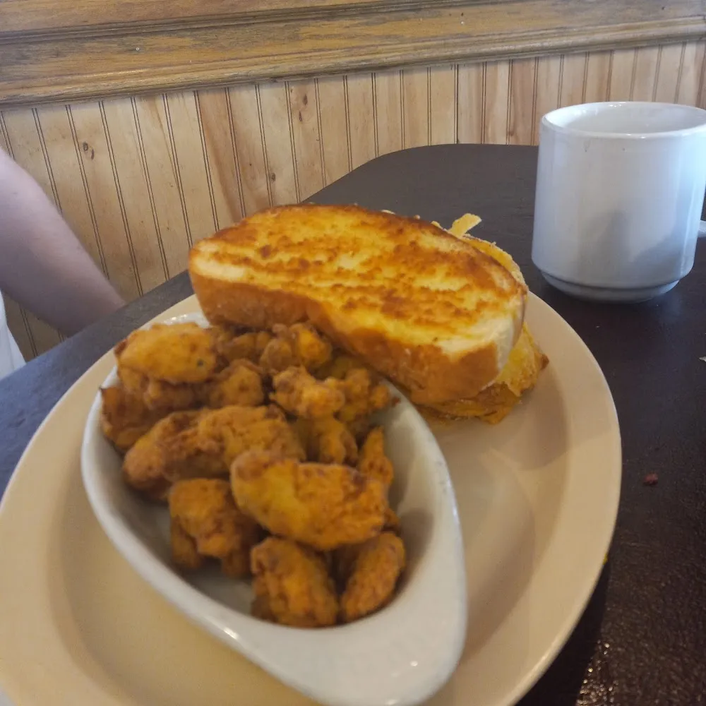 Alligator Bites
